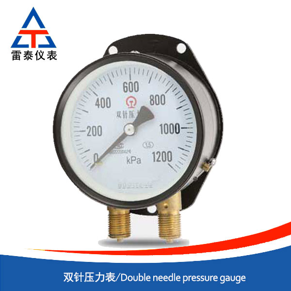Double needle pressure gauge